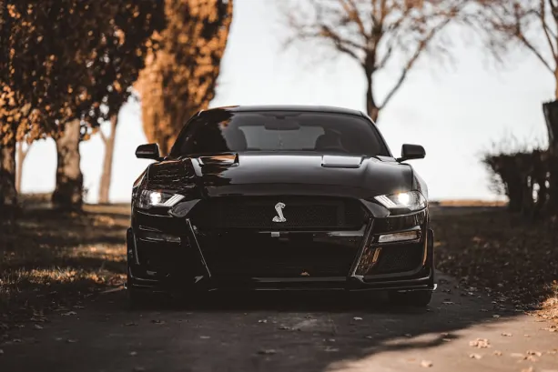 Casino777 Kaszinó Android/iOS Alkalmazás